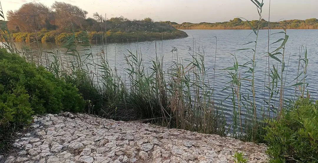 Actuación en lagos para el control de la erosión
