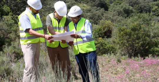 Asociación Andaluza de Empresas Forestales y Paisajísticas de Andalucía