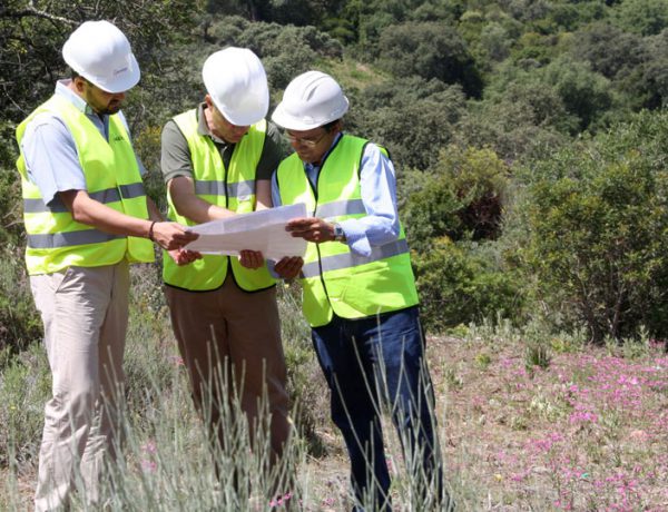 Asociación Andaluza de Empresas Forestales y Paisajísticas de Andalucía