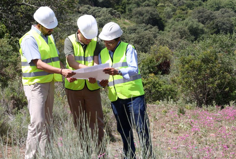 Asociación Andaluza de Empresas Forestales y Paisajísticas de Andalucía