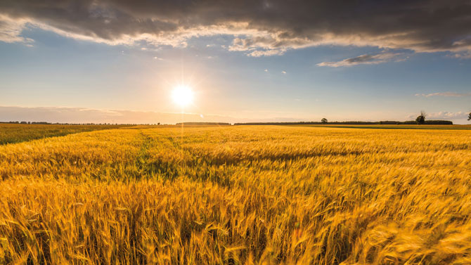 LIFE+Agricarbon premio “Mejor Proyecto LIFE”