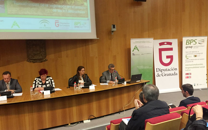 Afección positiva de la vegetación sobre las carreteras