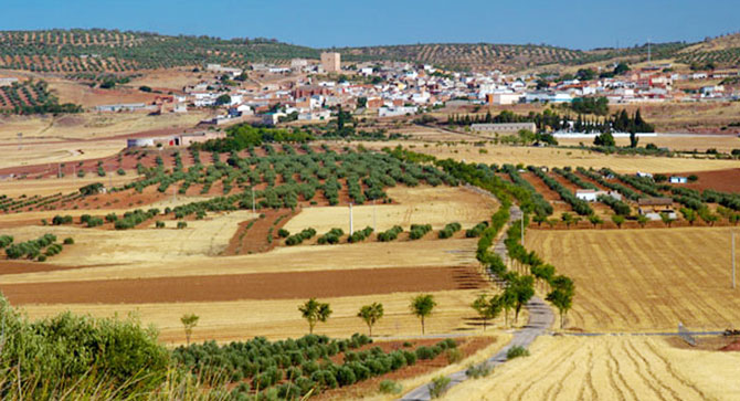 Certificado Verde obtenido por el Ayuntamiento de Terrinches