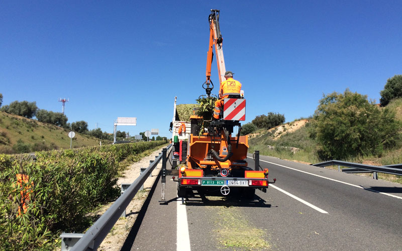 Conservación de setos en  mediana de autovía