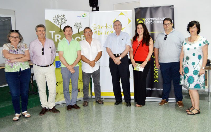 Control de erosión en olivares