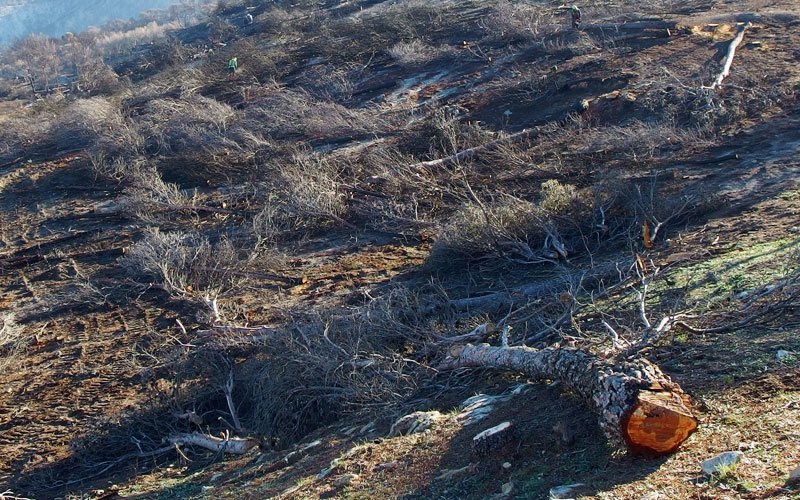 Control de la erosión tras el incendio