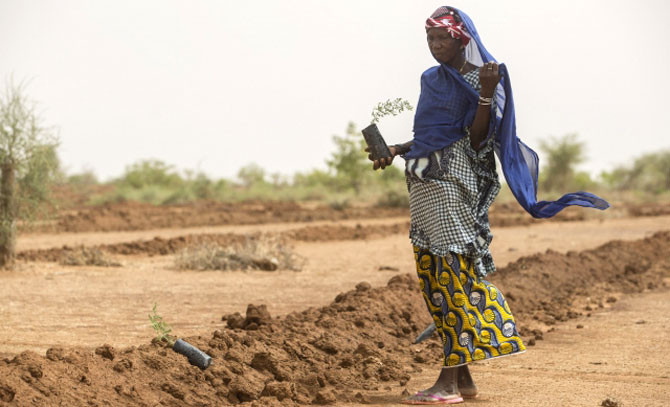 Gran Muralla Verde para el Sáhara y el Sahel