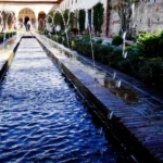 V Encuentro Internacional Hispanoárabe de Jardinería