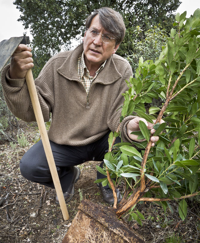 Joaquín Araújo Ponciano