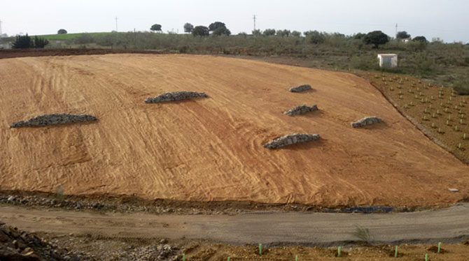 Naturalización del sellado de un vertedero