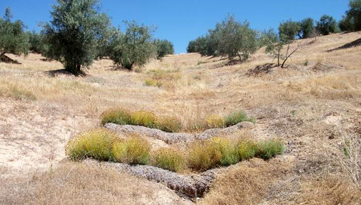 Prevención de la eutrofización por nitrógeno agrícola