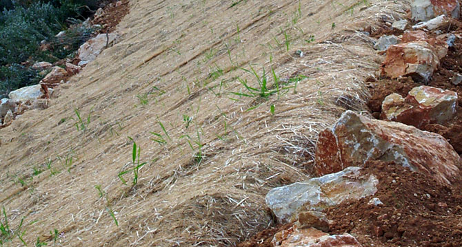 Tratamiento de terraplenes en pistas forestales